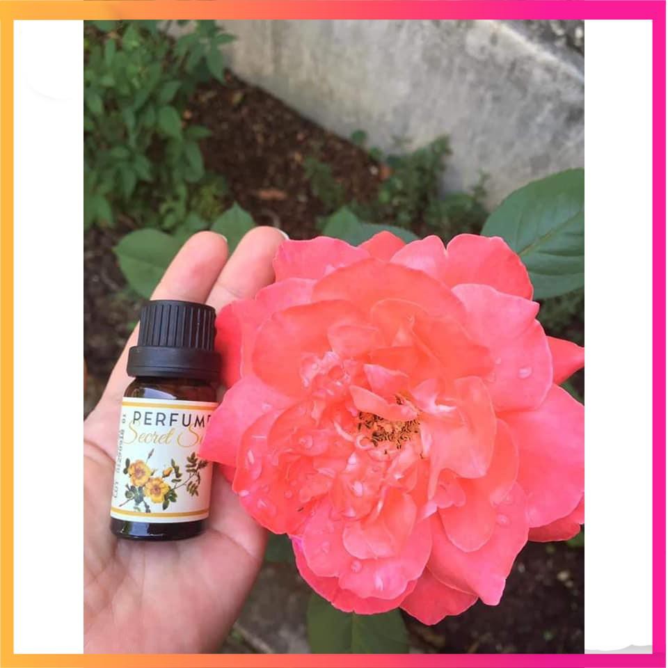 Nước Hoa Cô Bé (Vùng Kín) Chính Hãng LaFla Perfume Secret Sexy 10ml - Che Tên Khi Đặt Hàng | BigBuy360 - bigbuy360.vn