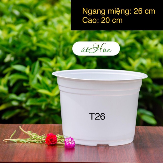 [ Sỉ từ 20 cái Chậu nhựa trắng T26 (26x20 cm) trồng cây, trồng hoa Nhựa cao cấp