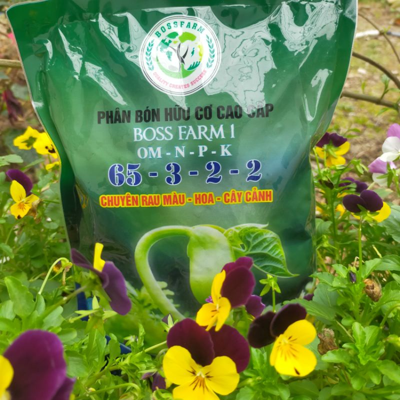 Phân bón hữu cơ cao cấp Boss Farm giúp tăng năng suất, chất lượng cây trồng.