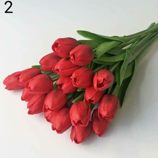 hoa chưng tết