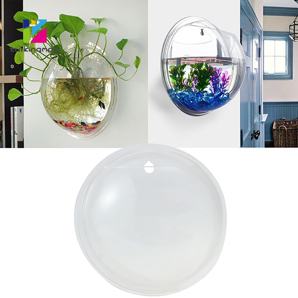 Bình cá cảnh acrylic treo tường sáng tạo