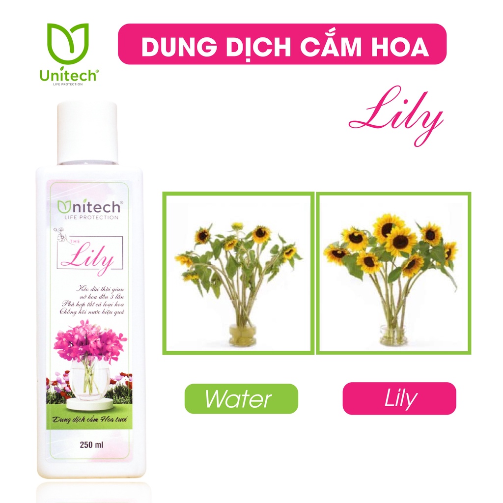Nước cắm hoa lâu tàn LiLy - Khử mùi hôi nước, nhân ba thời gian nở hoa