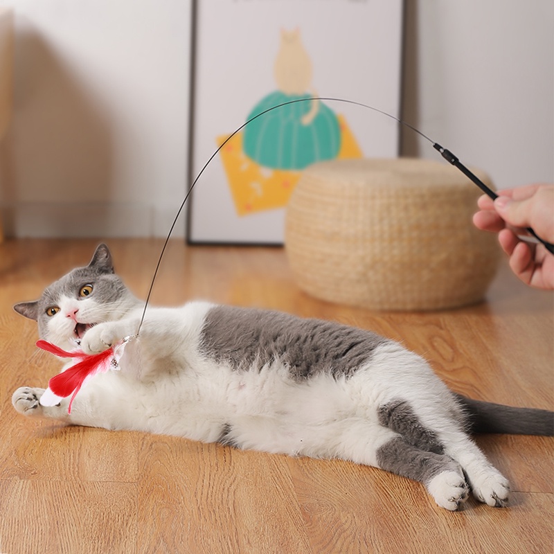 Gậy Đồ Chơi Gắn Lông Vũ Dành Cho Mèo Cưng