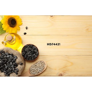 Phông nền 3D chụp ảnh