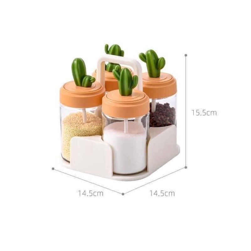 Set 4 Lọ đựng gia vị thủy tinh xương rồng cao cấp, hũ bột canh kèm muỗng thìa đẹp