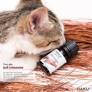 Tinh dầu Quế Cinnamon mùi thơm cay, ngọt ngào và ấm áp