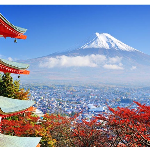 Kem Shop - Hàng Nhật Nội Địa