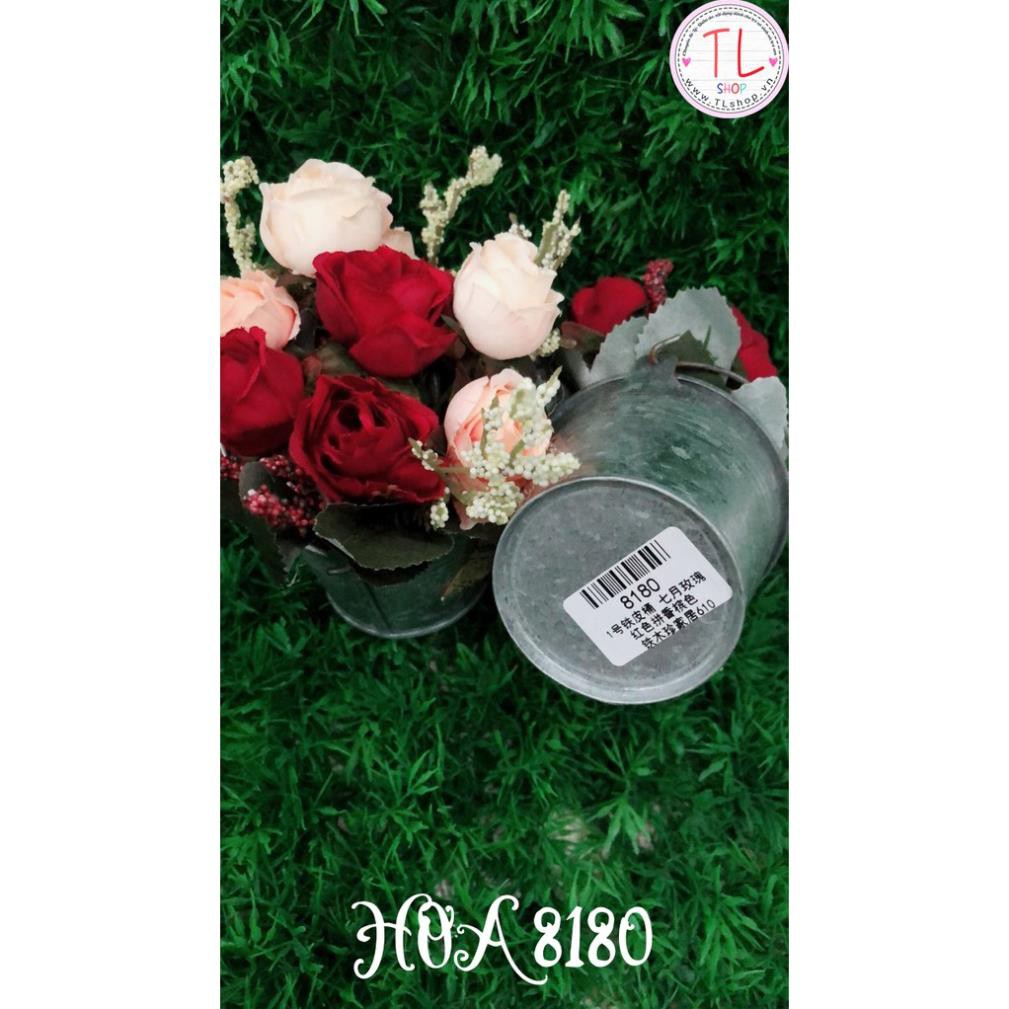 Chậu bông hồng đỏ xinh xắn