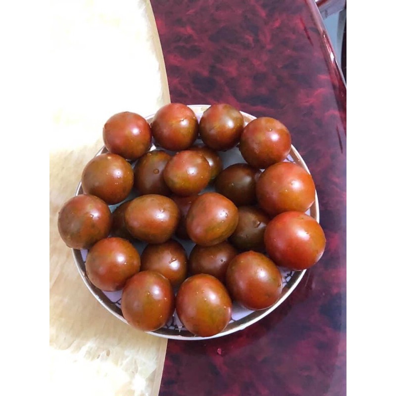 Hạt giống cà chua socola chịu nhiệt f1 mỹ