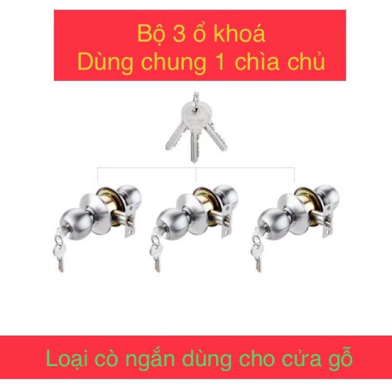 bộ 3 ổ khoá tay nắm tròn INOX dùng chung 1 chìa chủ ( cò ngắn dùng cho cửa gỗ )