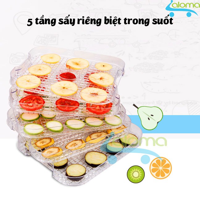 Máy sấy khô, sấy dẻo hoa quả, làm thịt khô 5 tầng TORSOM TSD2-F01J