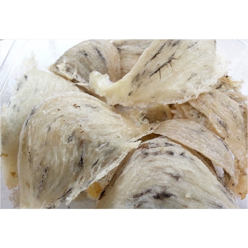 Tổ Yến Sào Baby 20gr/ 50gr/ 100gr Yến Sào Khánh Hòa Yến Sào Nha Trang