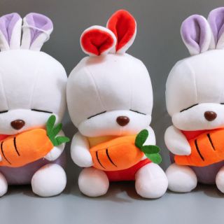 Thỏ buồn:((