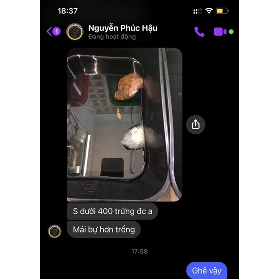 Flare - Dung dịch dưỡng và ép cá Betta