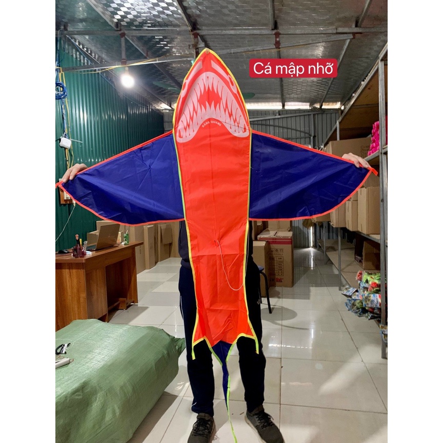 Diều Cá mập nhỡ