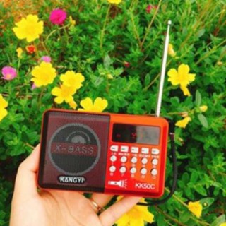 Loa nghe nhạc KangYi KK50C
