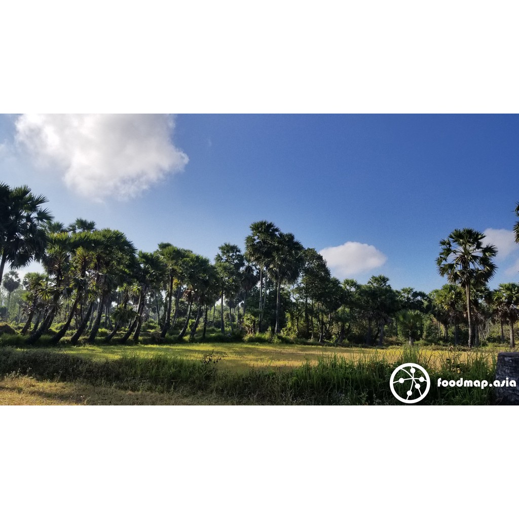 Đường Thốt Nốt Truyền Thống An Giang, Nguyên Chất, Dạng Sệt Đặc sản Ngon Lành - FoodMap | BigBuy360 - bigbuy360.vn