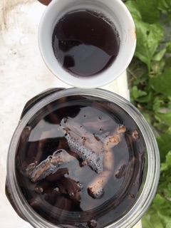 BA KÍCH TÍM QUẢNG NINH ( hộp 1kg ngâm rượu)