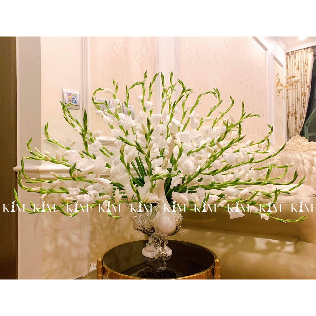 Khay hình công cao cấp cắm hoa