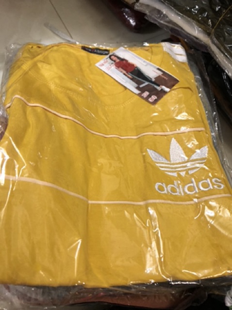 Đồ bộ thun cotton xịn