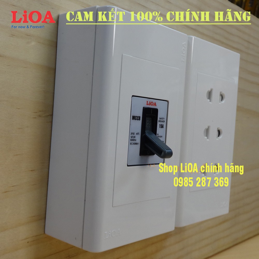 Combo ổ cắm điện lắp nổi có cầu dao chống quá tải 15A - LVMCCB15SE16