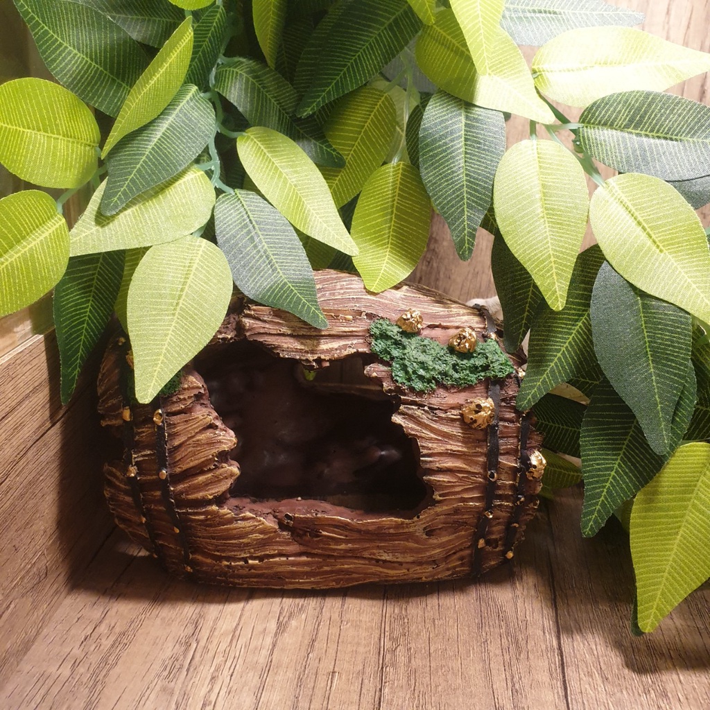 Hang trú ẩn thùng gỗ vỡ cho bò sát | Vietpetgarden