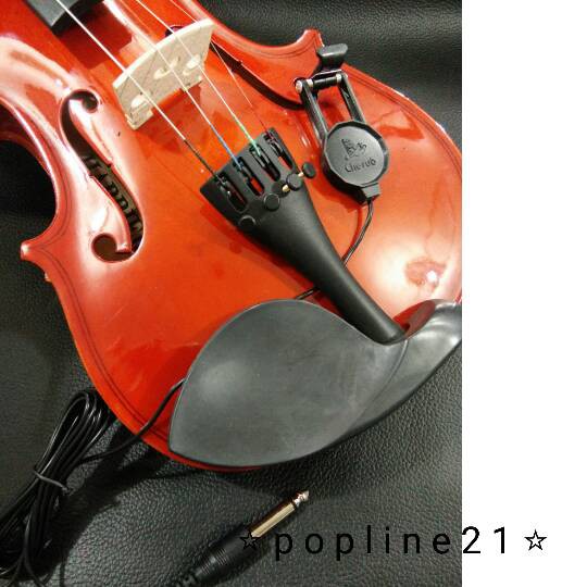 Pickup Cherub Wcp-60V / Violin Spool Cherub