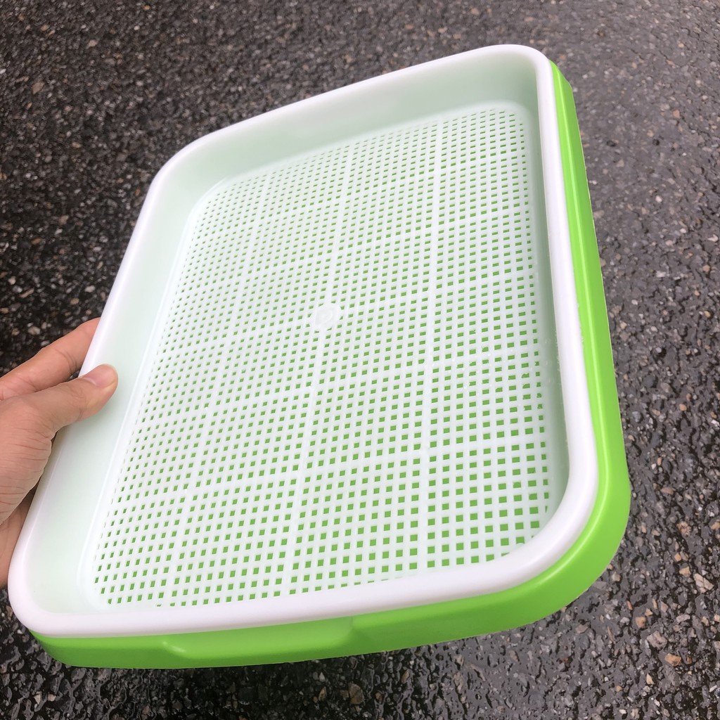 [Mở bán] - Khay trồng rau mầm thủy canh chuyên dụng 34x25x5cm