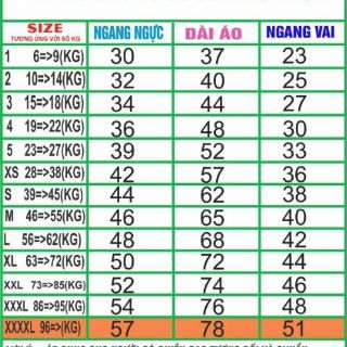 COMBO 38 ÁO LỚP