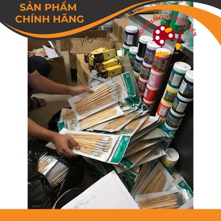 Cọ bộ 12 kangrui 12 cây đẹp