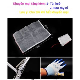 Gậy bắt rắn