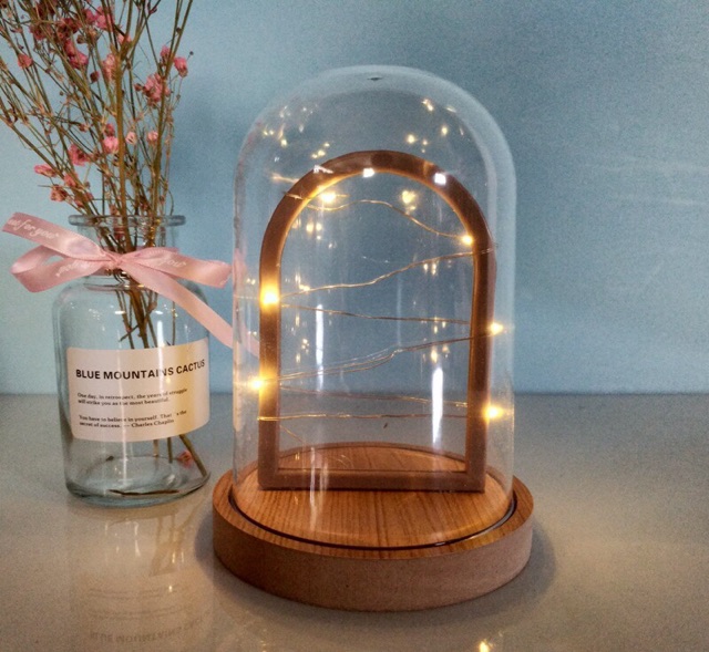 Khung ảnh trong hộp gắn đèn led tuyệt đẹp | BigBuy360 - bigbuy360.vn