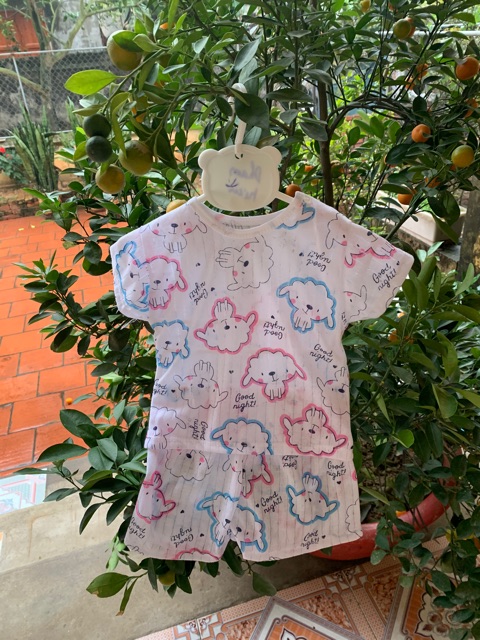 99k/5b cotton giấy size 5-15kg