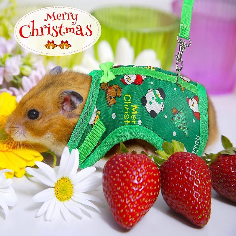 Áo mặc kèm dây dắt tiện dụng cho chuột hamster