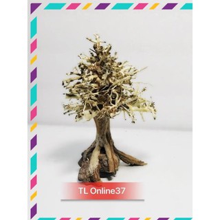 [Siêu Rẻ] Lũa bonsai cây thông noel trang trí bể cá thuỷ sinh