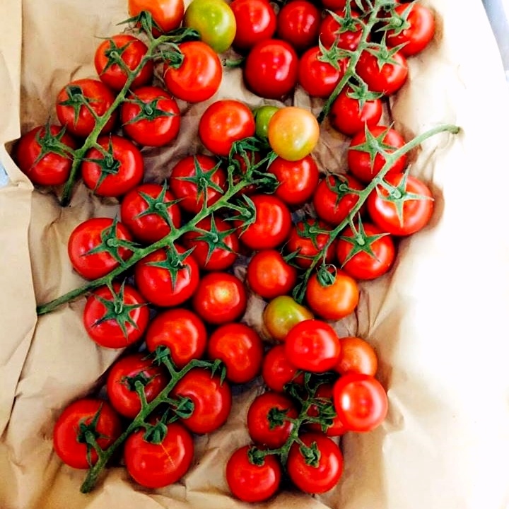 Hạt giống cà chua chuỗi ngọc cherry đỏ - rau củ quả trồng chậu, sân vườn chịu nhiệt 4 mùa tỉ lệ nảy mầm cao 0,1g RADO640