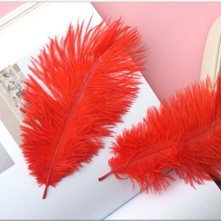 Lông Vũ Decor Nhiều Màu Nhiều Size Chụp Ảnh Nail, Mỹ phẩm, Làm đồ handmade
