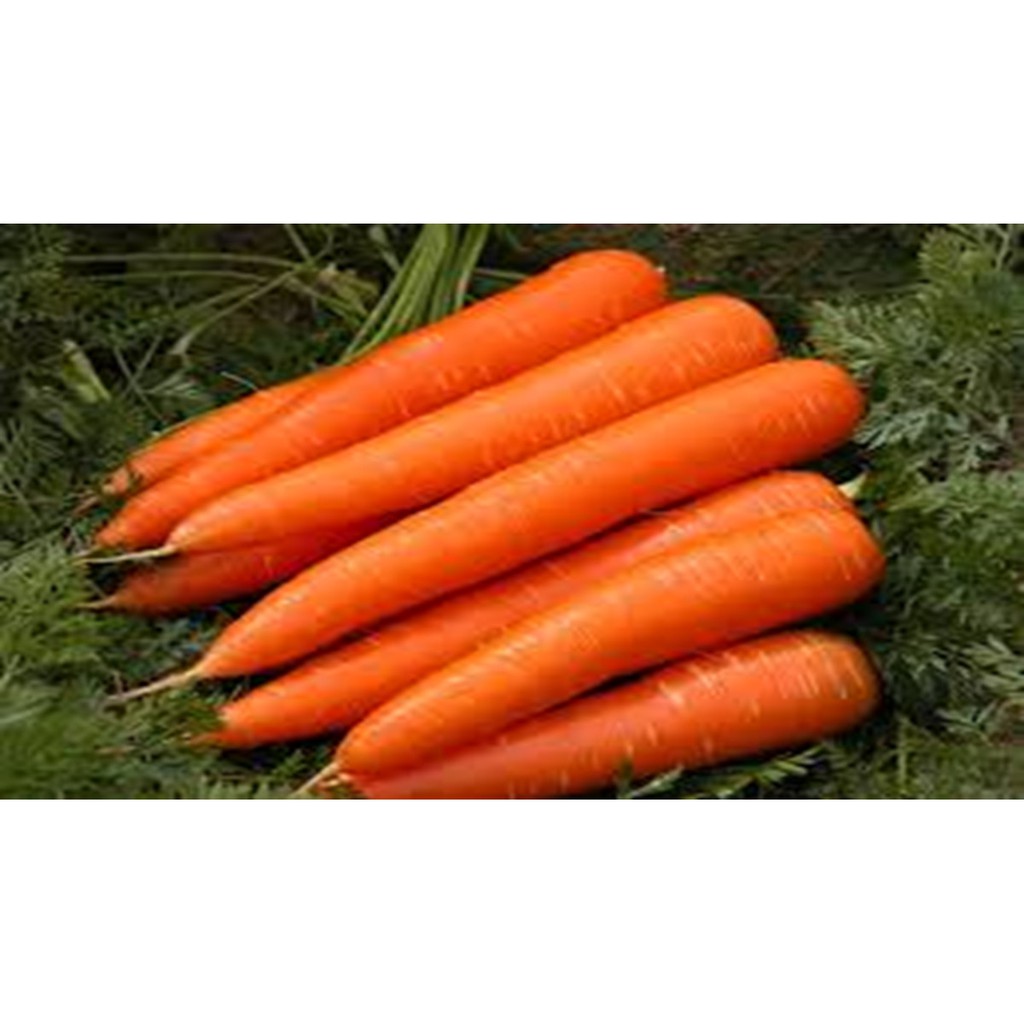 cà rốt đà lạt giá rẽ 25K [1/2kg] củ cà rốt đà lạt