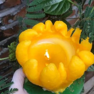 SỈ SLL! NẾN PHẬT THỦ