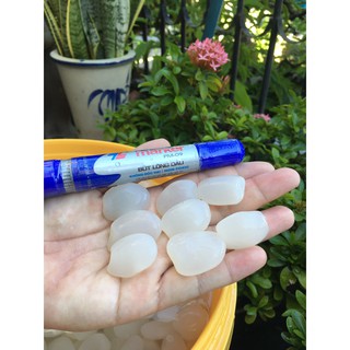 1kg hạt đác tươi sạch Phú yên