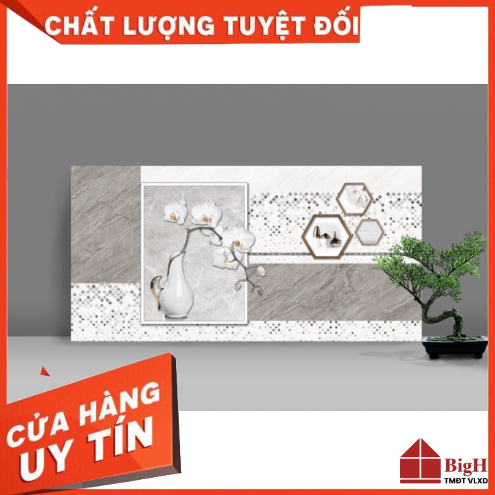 Gạch ốp tường Catalan 30x60 3209. Men bóng, Chống bám bẩn - Vật liệu xây dựng BigH