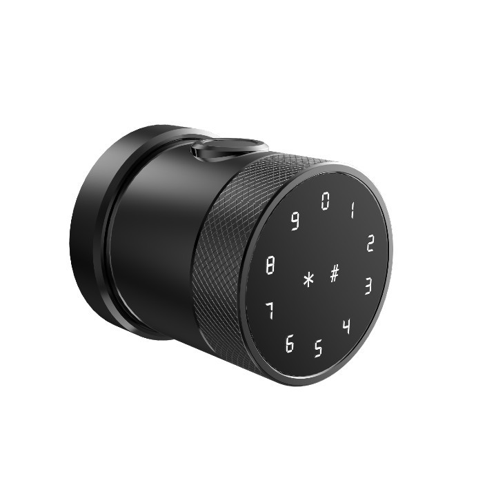 Khóa cửa vân tay thông minh Tuya Bluetooth - Dạng nắm đấm tròn - 5 cách mở cửa