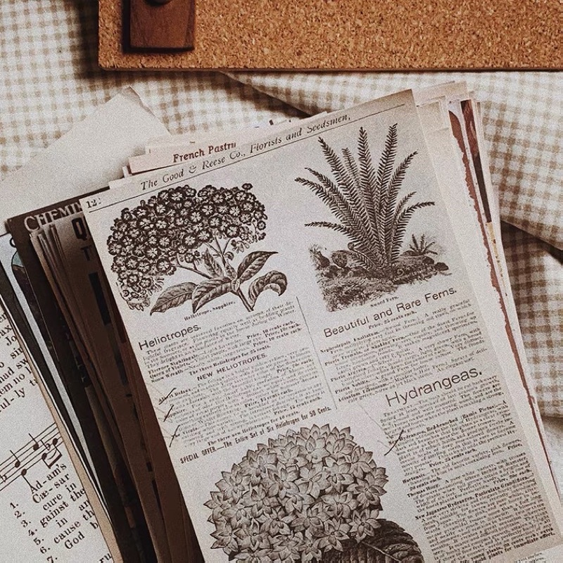Set giấy nền vintage cổ điển trang trí sổ bullet journal decor dán tường phụ kiện chụp ảnh winzige