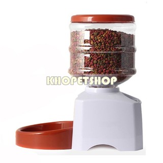 Máy thức ăn tự động hẹn giờ cho thú cưng