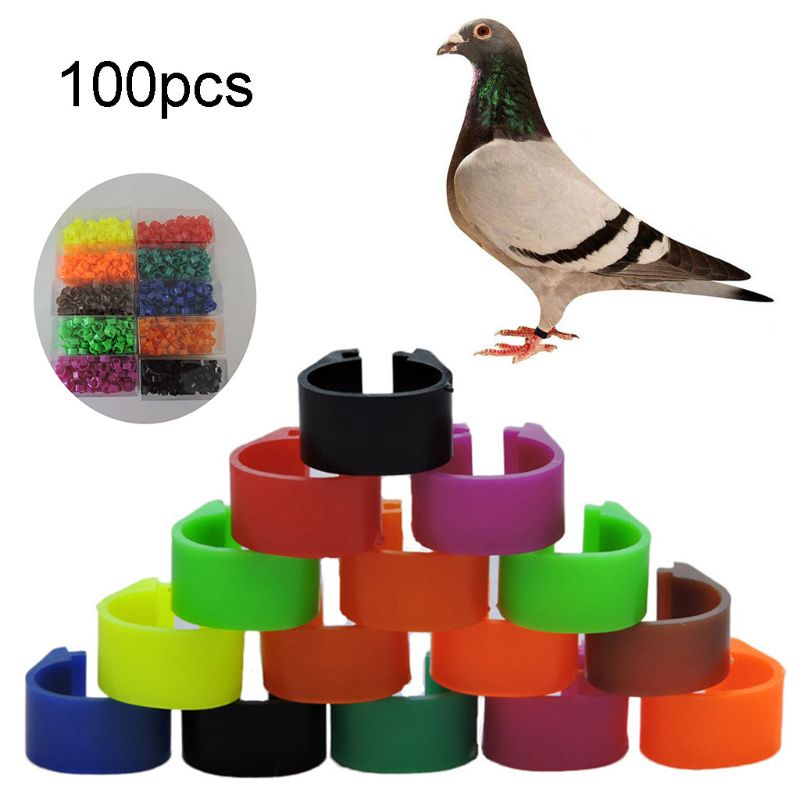 Bộ 100 Nhãn Dán Đánh Dấu Chim Bồ Câu Cho Chim Bồ Câu / Bantam / Chim Bồ Câu