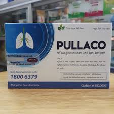 Pullaco CN48 | BigBuy360 - bigbuy360.vn
