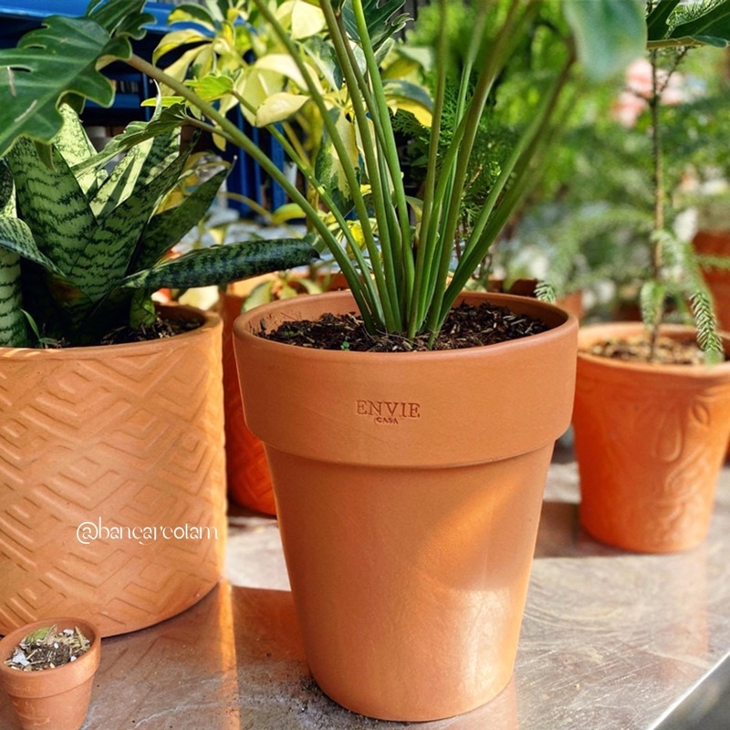 Chậu đất nung ENVIE ly gờ cao, miệng chậu 18cm