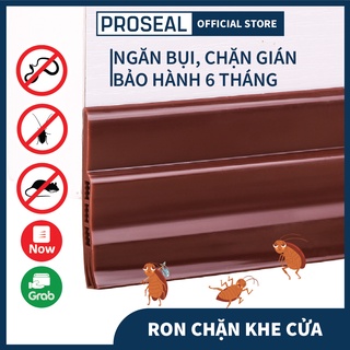 Ron Chặn Khe Cửa Đa Năng, Miếng Kẹp Cửa Máy Lạnh  Dài 1 Mét, Cực Dày 5mm Chống Côn Trùng, Khói Bụi, Chèn Khe Cửa Bị Hở