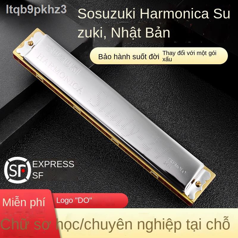 Nhật Bản Suzuki Harmonica 24 lỗ Đa âm C Người mới bắt đầu AFG # vào của sinh viên Trình độ biểu diễn chuyên ng