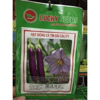 Hạt giống cà tím